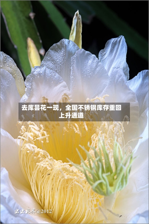 去库昙花一现，全国不锈钢库存重回上升通道-第2张图片