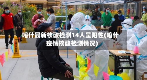 喀什最新核酸检测14人呈阳性(喀什疫情核酸检测情况)-第2张图片