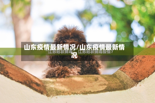 山东疫情最新情况/山东疫情最新情况