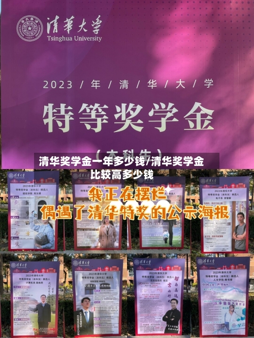 清华奖学金一年多少钱/清华奖学金比较高多少钱